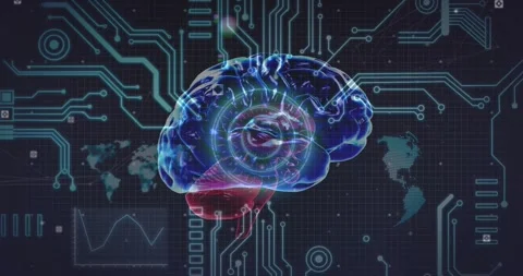 Animation of human brain and circuit board over globe Stock Footage 330254994