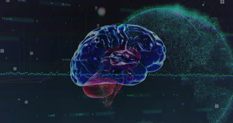 Animation of human brain and digital data processing over globe Stock Footage 308215975