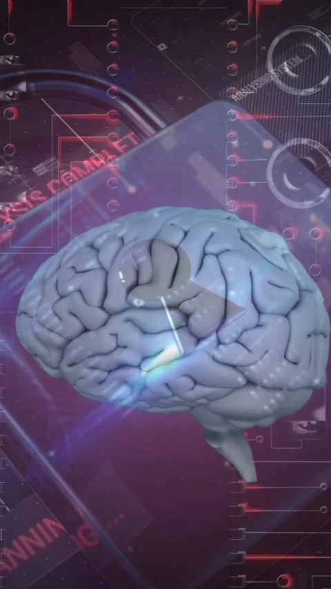 Animation of human brain, data processing, online security padlock and circuit Stock Footage 343919230