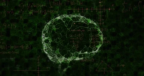 Animation of human brain over mathematics formulas and geometry angles on black Stock Footage 205114074