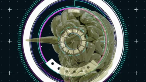 Animation of human brain, scope and data processing Stock Footage 313186525