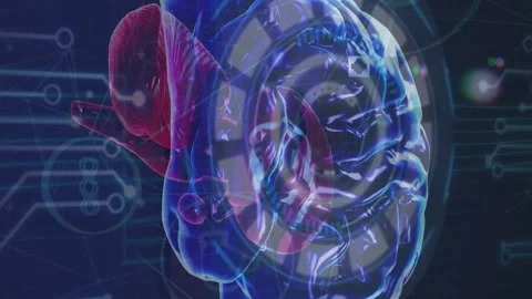Animation of human brain spinning over microprocessor connections and network of Vídeo Stock 312695784