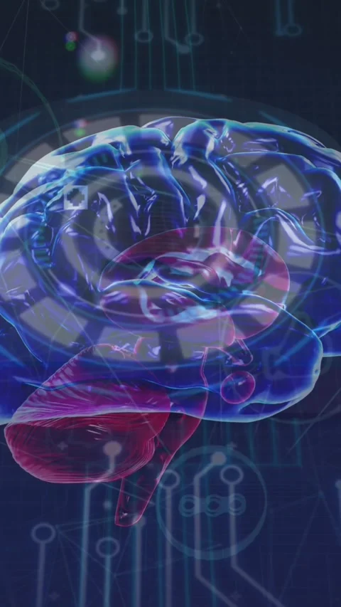 Animation of human brain spinning over microprocessor connections and network of 库存影片 322891448