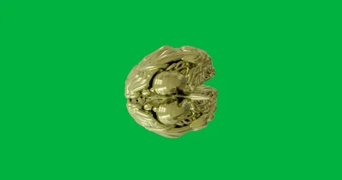 Animation of human brain spinning on transparent background Stock Footage 317925509