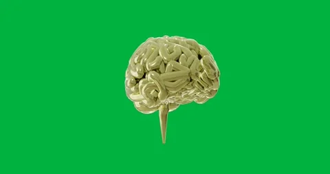 Animation of human brain spinning on transparent background Stock Footage 317925521
