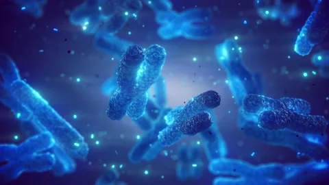 Animation of human chromosomes. Vidéo 154650647