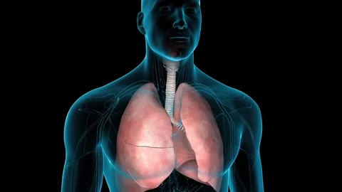 Animation of a human lung fighting against the Covid-19 Stock Footage 127863070