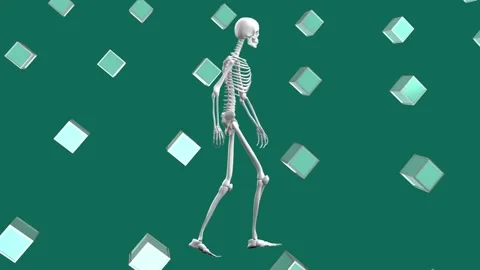 Animation of human skeleton and 3d shape... | Stock Video | Pond5