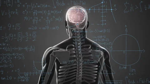 Animation of human skeleton with brain and math equations in school setting Stock Footage 303420896