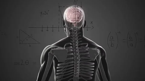 Animation of human skeleton with brain and equations on dark background 库存影片 303528119