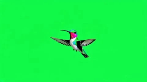 Animation hummingbird on green background. Stock Footage 281810463