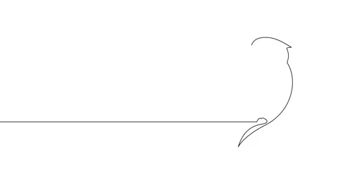 Animation of an image drawn with a continuous line. Silhouette of a bird. Stock Footage 244732696