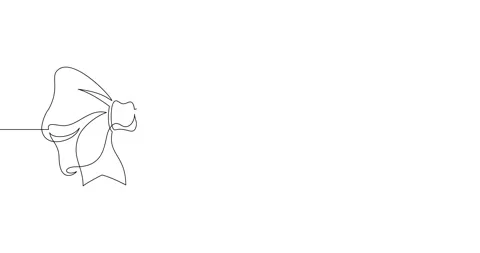 Animation of an image drawn with a continuous line. Decorative ribbon bow. Stock Footage 244861722