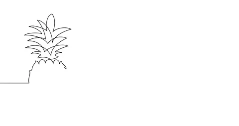 Animation of an image drawn with a continuous line. Pineapple. Stock Footage 245201982