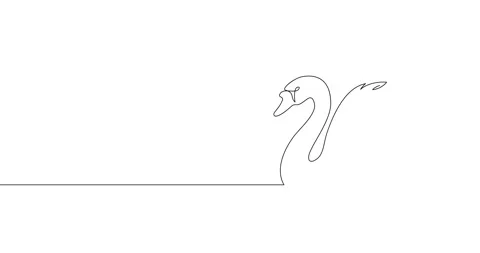 Animation of an image drawn with a continuous line. Swan. Stock Footage 246137366