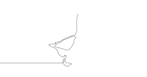 Animation of an image drawn with a continuous line. Goose. Stock Footage 246137509