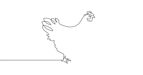Animation of an image drawn with a continuous line. Chicken. Stock Footage 246137517