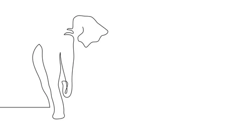 Animation of an image drawn with a continuous line. Elephant. Stockbeeldmateriaal 246137735