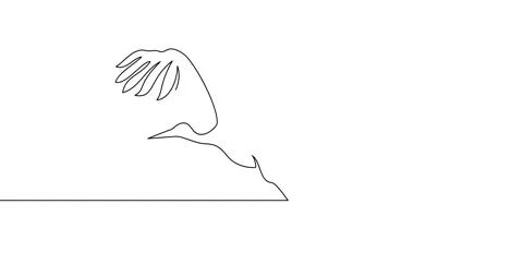 Animation of an image drawn with a continuous line. Flying stork. Stock Footage 246137749