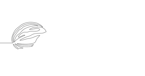 Animation of an image drawn with a continuous line. Coconut. Stock Footage 246137772