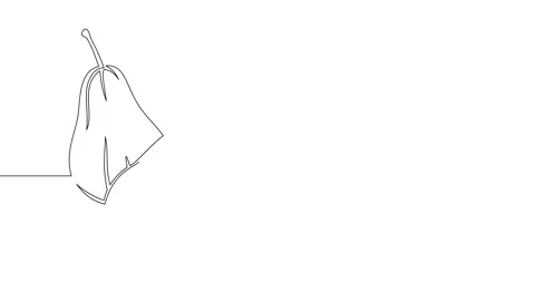 Animation of an image drawn with a continuous line. Pears. Stock Footage 246137778