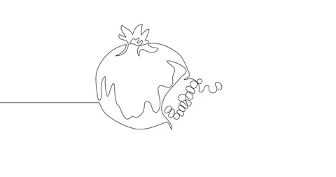 Animation of an image drawn with a continuous line. Pomegranate. Stock Footage 246137797
