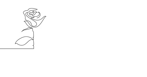 Animation of an image drawn with a continuous line. Rose flower. Stockbeeldmateriaal 246137835