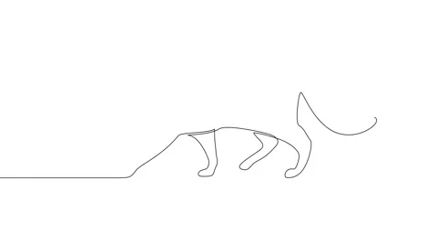 Animation of an image drawn with a continuous line. Walking cat. Stock Footage 247334620