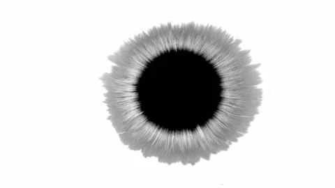 Animation of ink drop spreading out on the white paper forming a circle Stock Footage 156602959