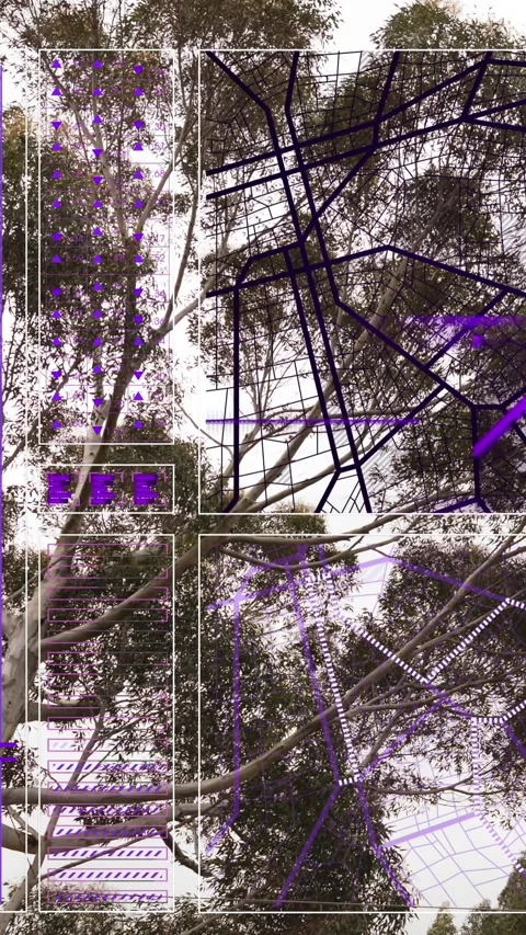 Animation of interface with data processing over low angle view of trees against Stock Footage 344803204