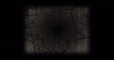 Animation of interference over branches on black background Stock Footage 309266456