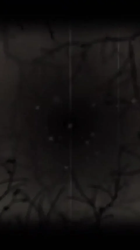 Animation of interference over branches on black background Stock Footage 320330847