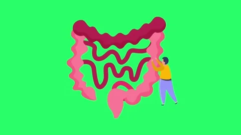 Animation intestine isolate on green screen. Stock Footage 276428417