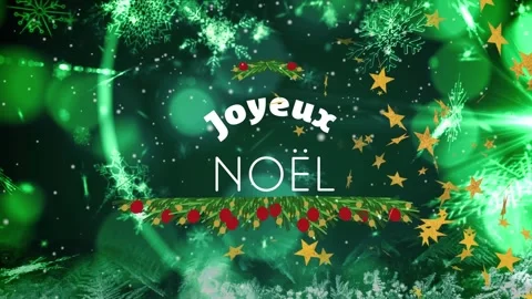 Animation of joyeux noel text over snow falling Stock Footage 327645957