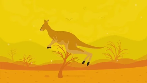 Animation Kangaroo Stock Footage 72450485
