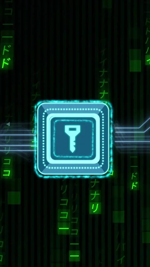 Animation of key over data processing and binary coding on black background Stock-Footage 342910701
