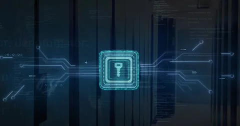 Animation of key in squares, circuit board pattern and computer language over Stock Footage 330469721