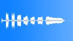 Animation LaughSound Effect