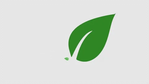 Animation of leaves shake blowing by the wind in alpha channel Stock Footage 317899377