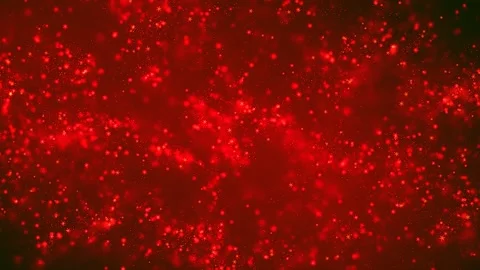 Animation of light particle bokeh on red and abstract background  Stock Footage 263115003