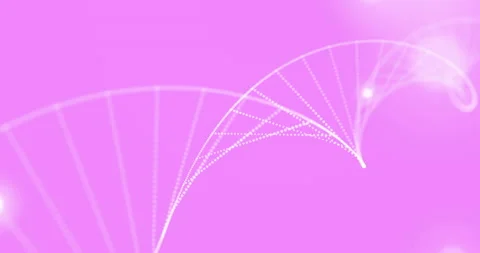 Animation of light spots and dna strand on pink background Stock Footage 266477933