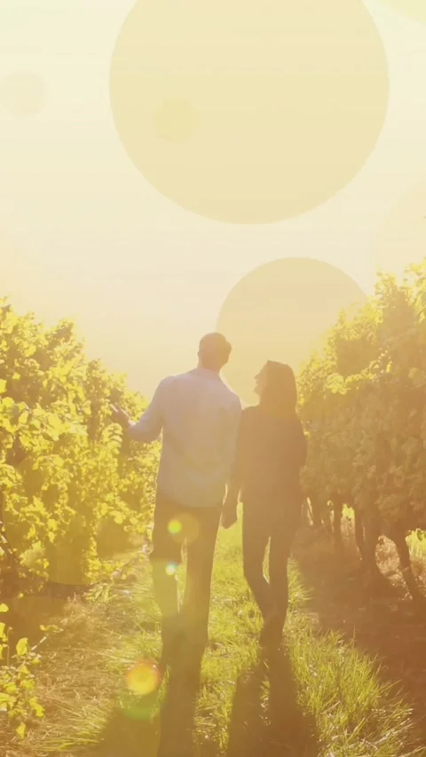 Animation of light spots over caucasian couple walking and holding hands Vídeo Stock 342315912