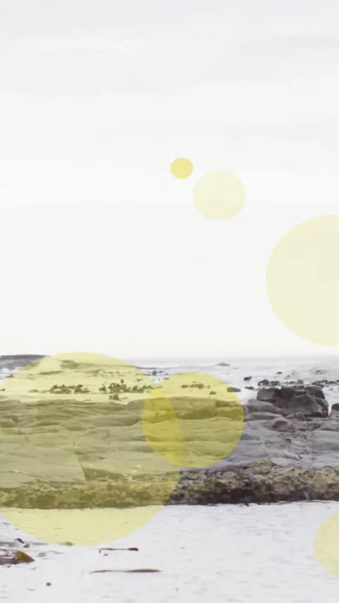Animation of light spots over couple holding hands and walking on beach Vídeo Stock 343720678