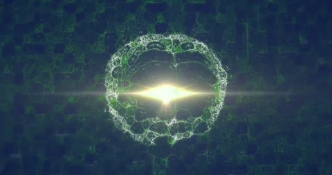 Animation of light trails over digital brain and shapes on black background Stock Footage 330662117