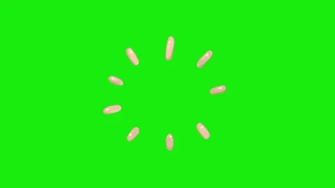 Animation of loading on chroma key background Vidéo 329398386