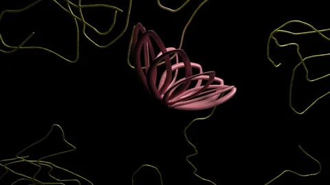 Animation logo lotus yoga classes practice meditation 4k video video effect Video stock 241643362