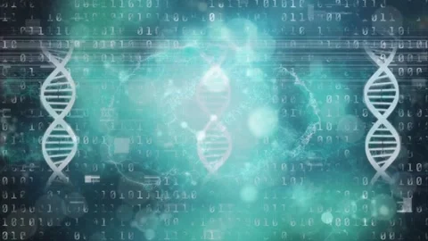 Animation loop of dna helixes with illum... | Stock Video | Pond5