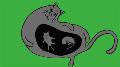 Cat Icon Animation Best Cartoon Object Stock Footage Video (100%  Royalty-free) 1097064499