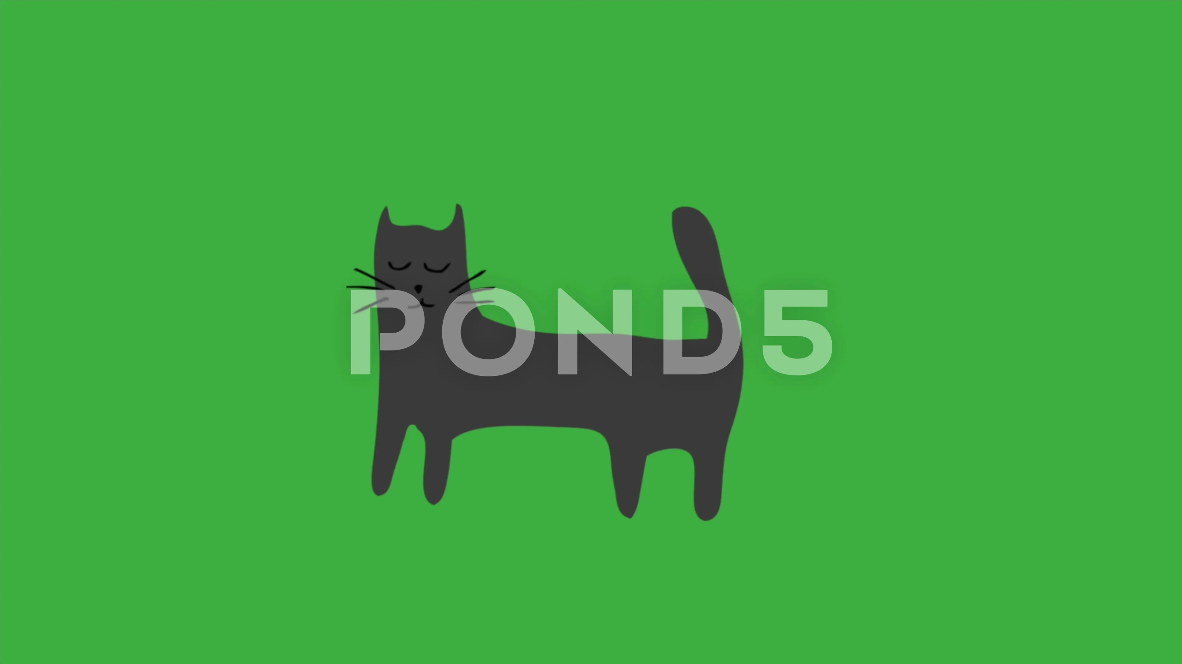 Animation loop video cartoon cat on green screen background