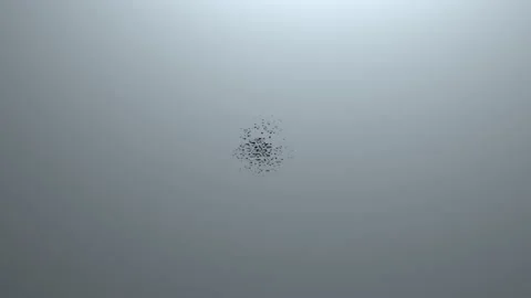 Animation loop. world map  Stock Footage 130363734